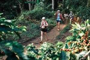 BIB: 
                            <button type="button" onclick="openModal(25841044)" class="btn btn-primary btn-sm float-right btn-popup" data-toggle="modal" data-target=".modal-high-quality">
                        <i class="fas fa-shopping-cart"></i> Add to Cart
                    </button>
                                            <button type="button" onclick="isThisMe(25841044, true)" class="btn btn-success btn-sm float-right btn-popup btn-isme hidden" data-toggle="tooltip" data-placement="bottom" title="นี่คือรูปของคุณใช่ไหม คลิกที่นี่เพื่อเอาเข้าอัลบั้ม">
                        <i class="fas fa-plus"></i> Add to album
                    </button>
                    <button type="button" onclick="isThisMe(25841044, false)" class="btn btn-warning btn-sm float-right btn-popup btn-isnotme hidden">
                        <i class="fas fa-ban"></i> Remove from album
                    </button>